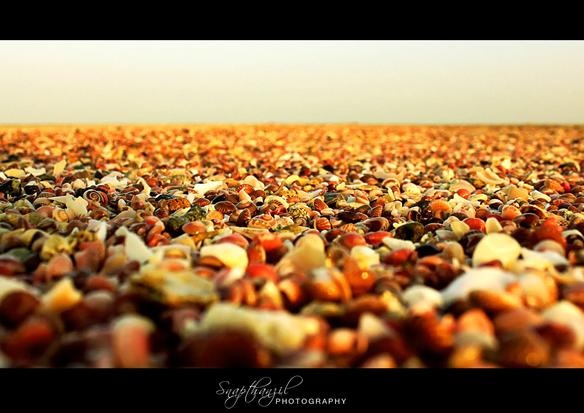 Portrait Photography